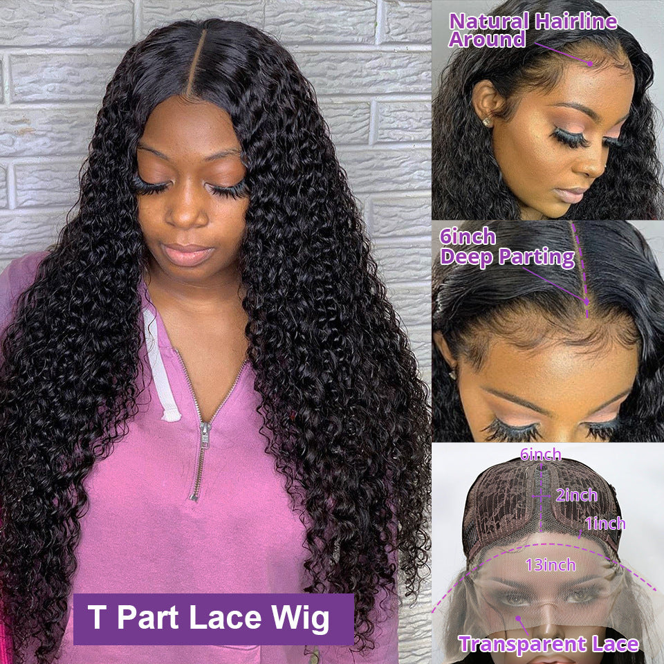 A218 Afro Long Curly Wig for Women, Heat Resistant Small Curls Natural Wig