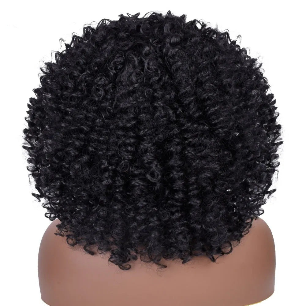 A277  Short Curly Afro Wig with Bangs Multi-Color, Brazilian Style Small Wig, Natural Fluffy Full Wig
