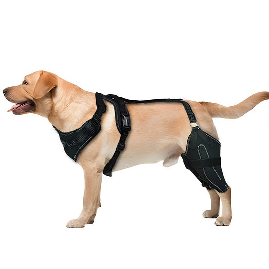 Hot-selling Pet Protective Gear: Dog Leg Guards & Joint Protectors for Rear Legs - Pet Joint Protection Sleeves