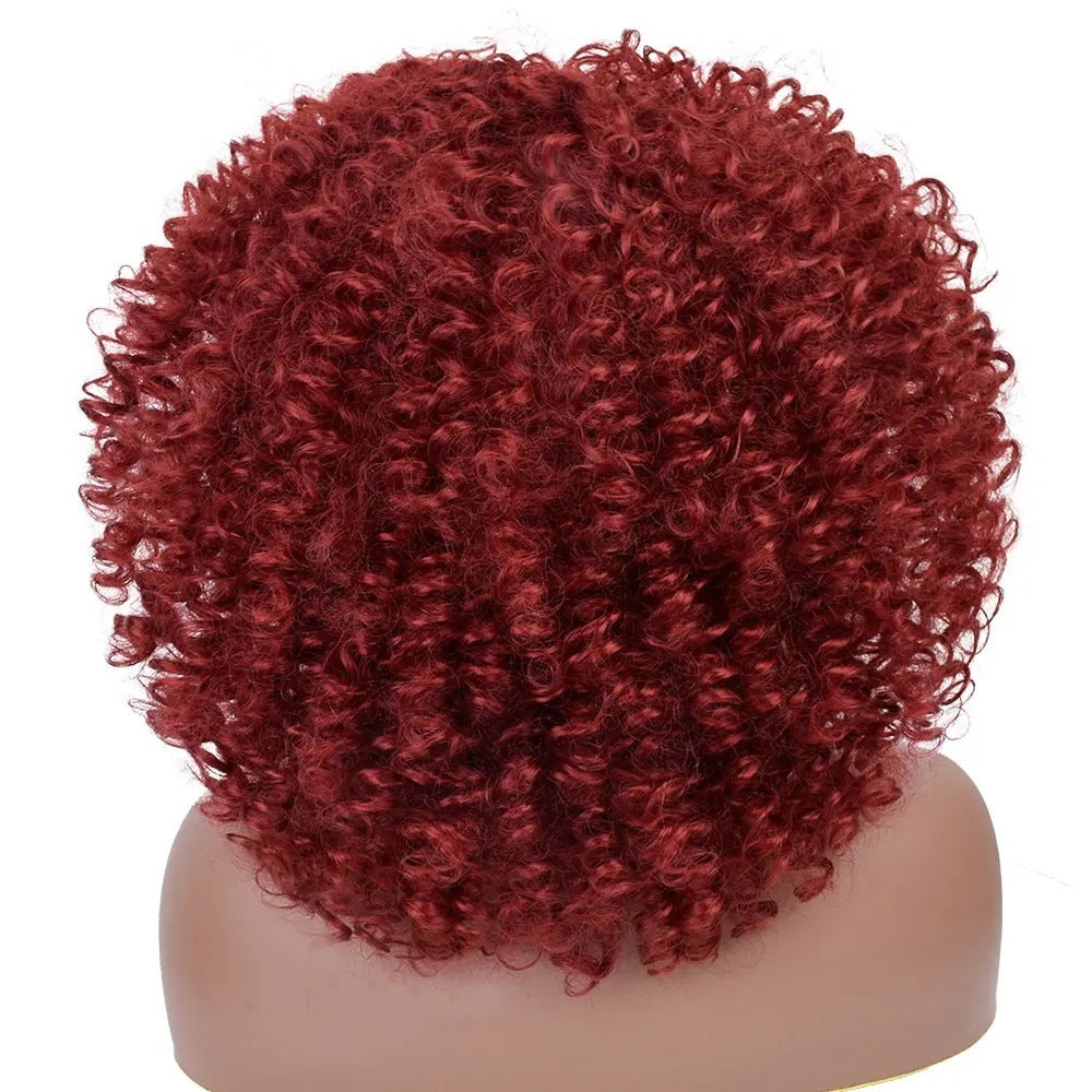 A277  Short Curly Afro Wig with Bangs Multi-Color, Brazilian Style Small Wig, Natural Fluffy Full Wig