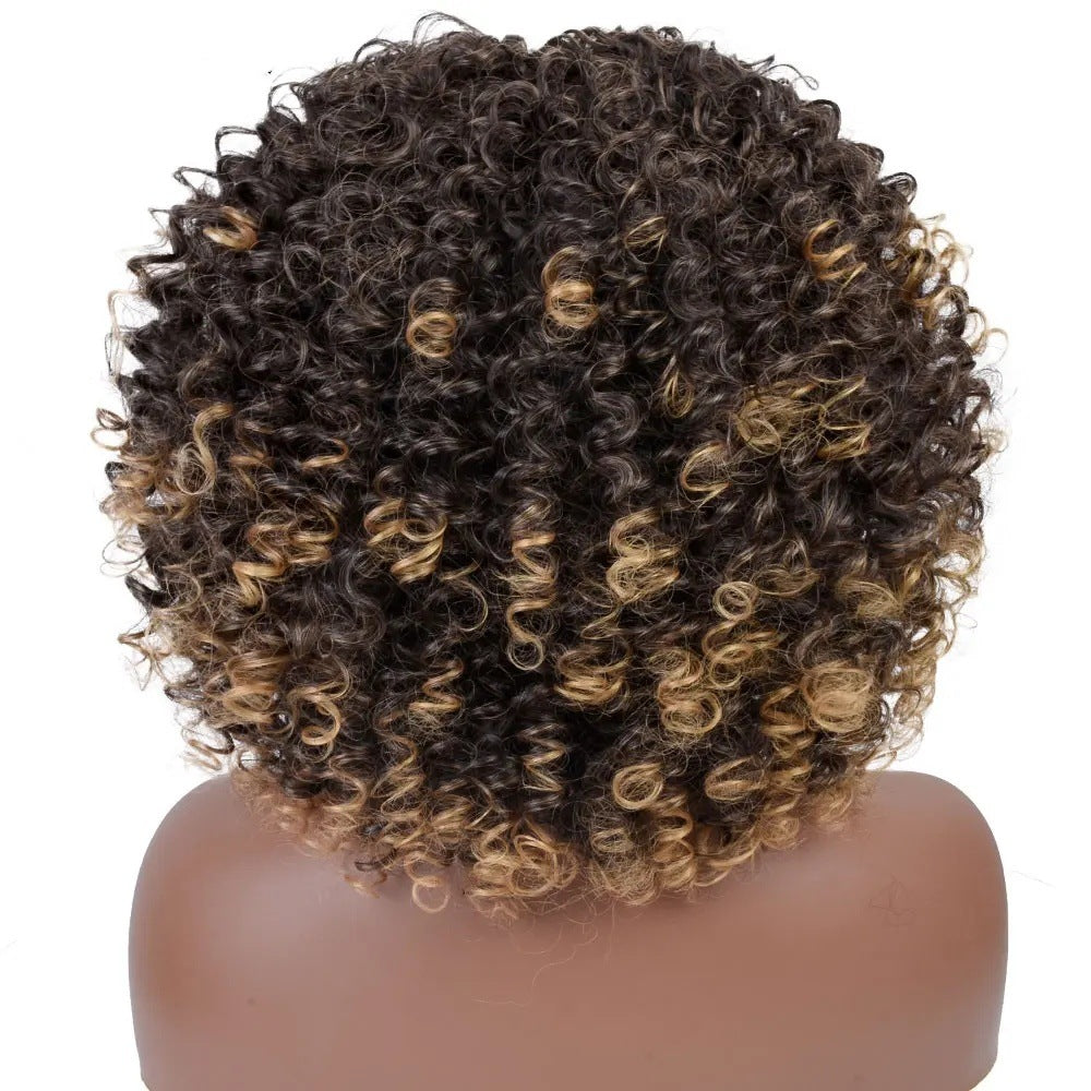 A277  Short Curly Afro Wig with Bangs Multi-Color, Brazilian Style Small Wig, Natural Fluffy Full Wig