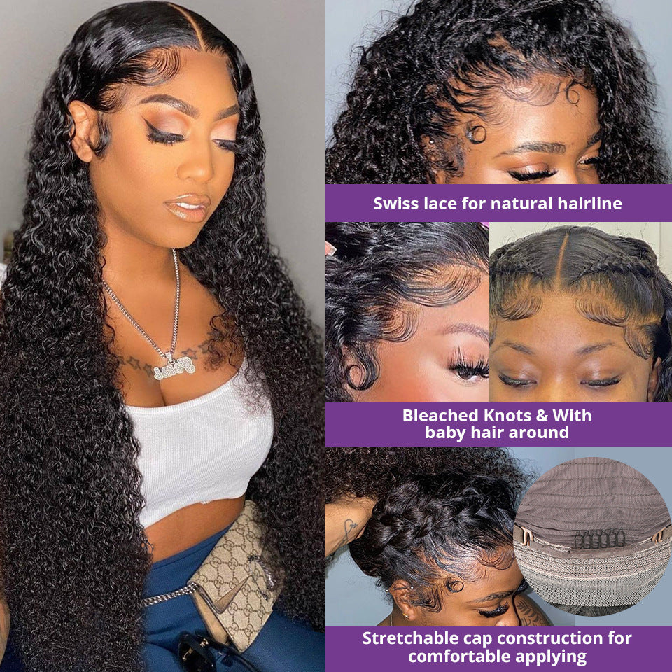 A218  Afro Long Curly Wig for Women, Heat Resistant Small Curls Natural Wig