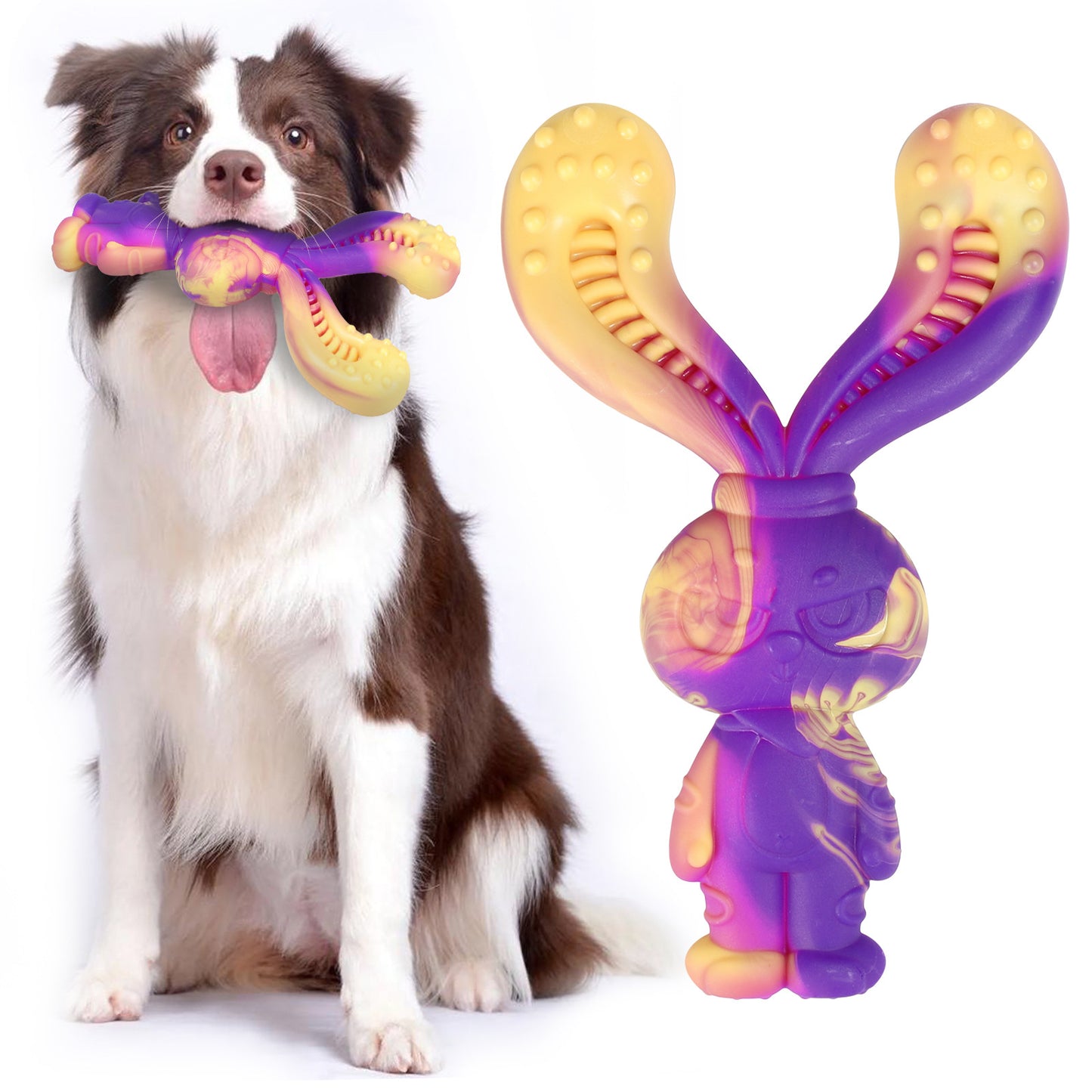 Best-Selling Durable Nylon Dog Chew Toy Beef Flavor Dog Teething Toy Interactive Dog Toy