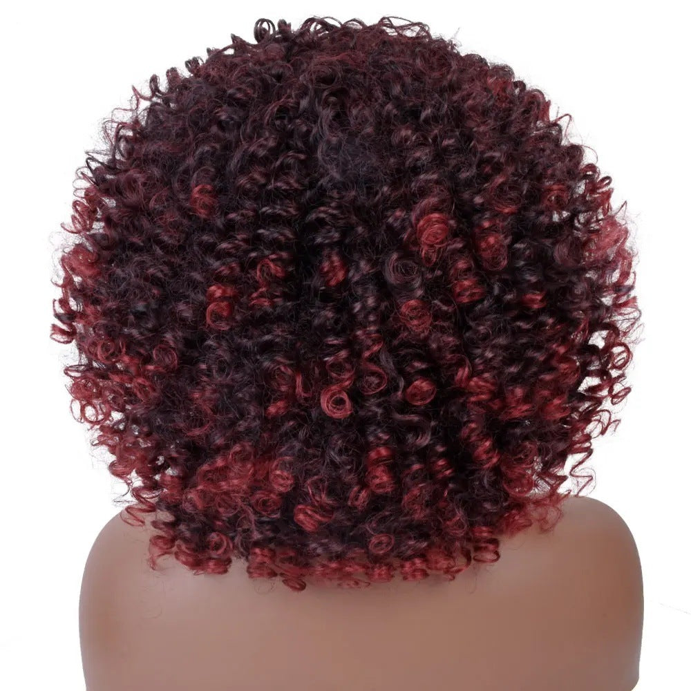A277  Short Curly Afro Wig with Bangs Multi-Color, Brazilian Style Small Wig, Natural Fluffy Full Wig